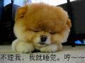 简单