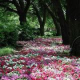 邹悠悠和点点