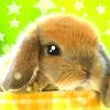 し☆ve YANGYI