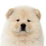 纯粹点滴