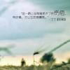 书友65087