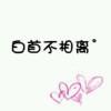 小卡哥哥