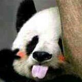 叶雯来了