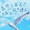 夏夜竹影