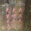 登山的蜗牛