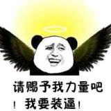 是在下输了