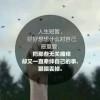龙骑士 甄志丙