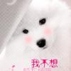 书友78782