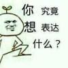 刘雨鹏