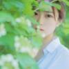 书友34484