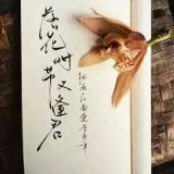流年