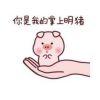 CN少
