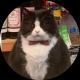 小猪咪软乎乎