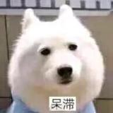 嗨嗨嗨