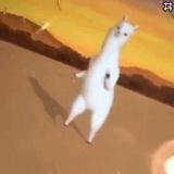 一颗荔枝