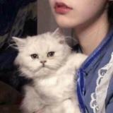 汤圆都睡着了