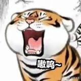 书友66423