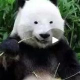谁咬我我喷谁