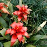 方葎方葎搜索方葎