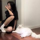 书友74005