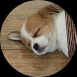 西里西里西