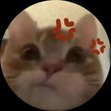 CCCCHANNIE