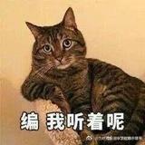 姐姐不是你妹