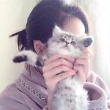 巴黎野玫瑰