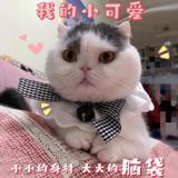 书友56085
