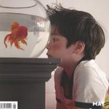 你说你叫啥