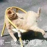 大菜鸟的大鸟