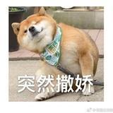 赵大喵～
