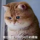 月亮luna