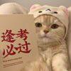 书友23624