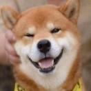 阿德尔白
