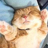 眼色