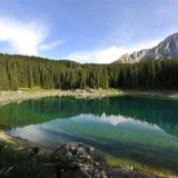 梦里花落知秋吖