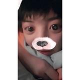蜜柚白角