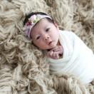 六月份的招财猫