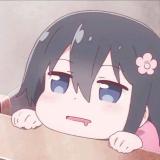 辞柚l9