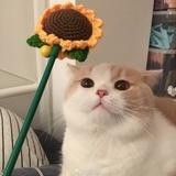 甜芝芝芝芝