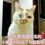巧可夹心