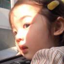 书友12373