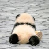 发财