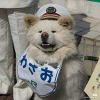 书友95724