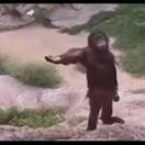 工控设备搬运工