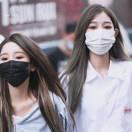 乖乖岐