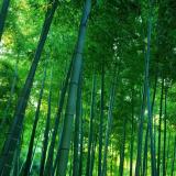 奔波在希望的田野上