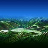 田哥很忙