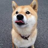随忆